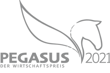 Pegasus-Wirtschaftspreis